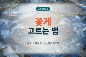 꽃게 암수 구별과 신선도 확인 방법