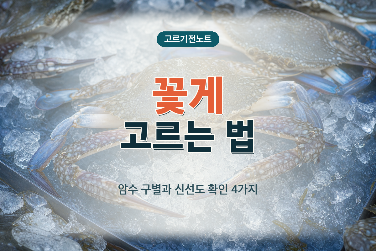 꽃게 고르는 법: 암수 구별과 신선도 확인 4가지