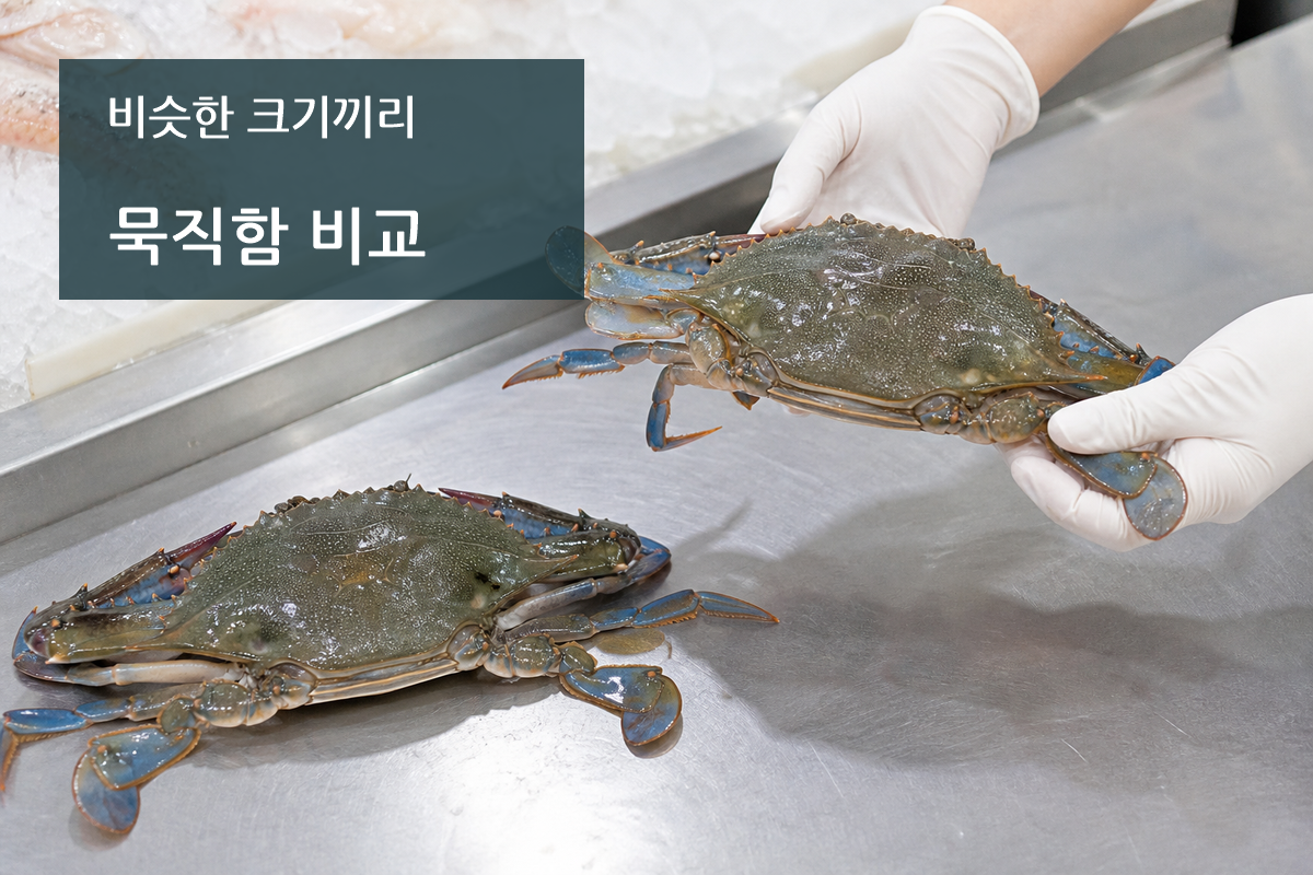 비슷한 크기의 꽃게 두 마리를 들어 무게감을 비교하는 모습