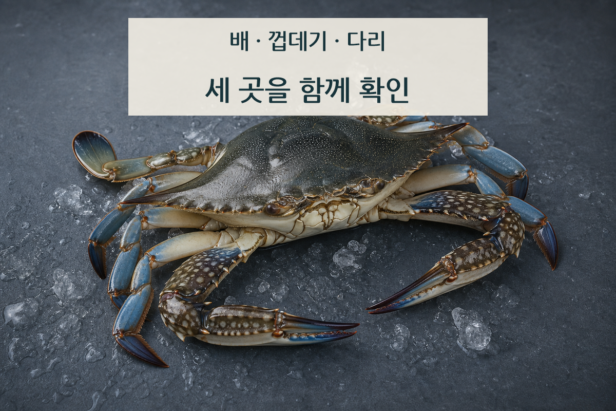 얼음 위 꽃게의 단단한 껍데기와 온전한 다리를 확인하는 모습